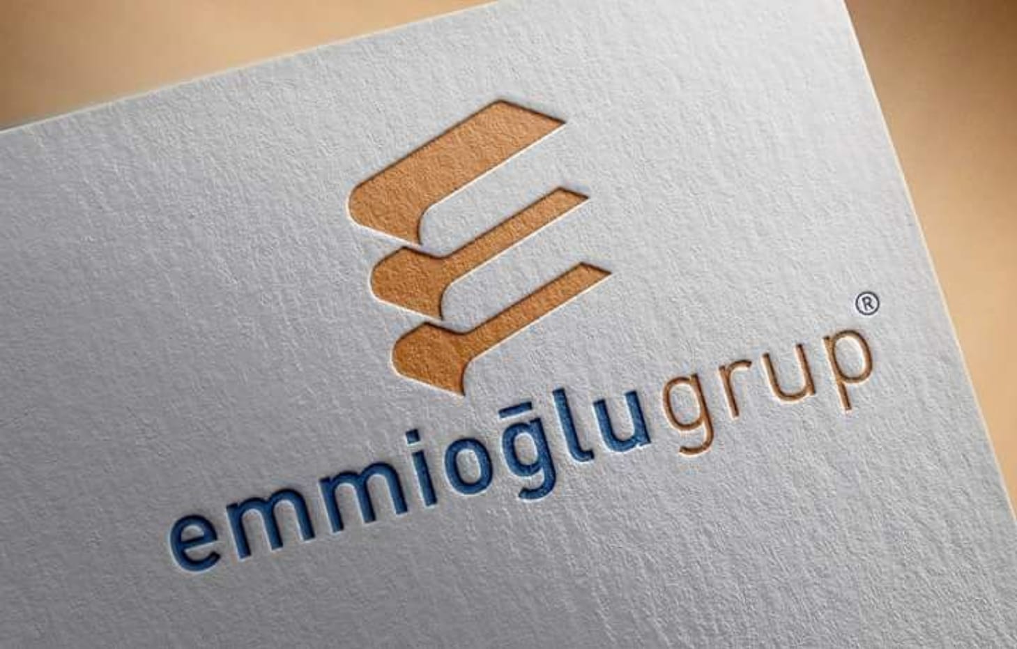 Emmioğlu Grup kurumsal logosu